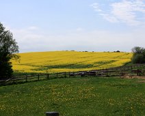 rasp mark IMG_5003